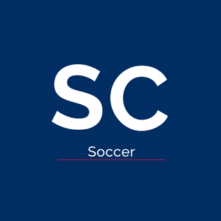 Soccer: Sealed Boxes & Packs