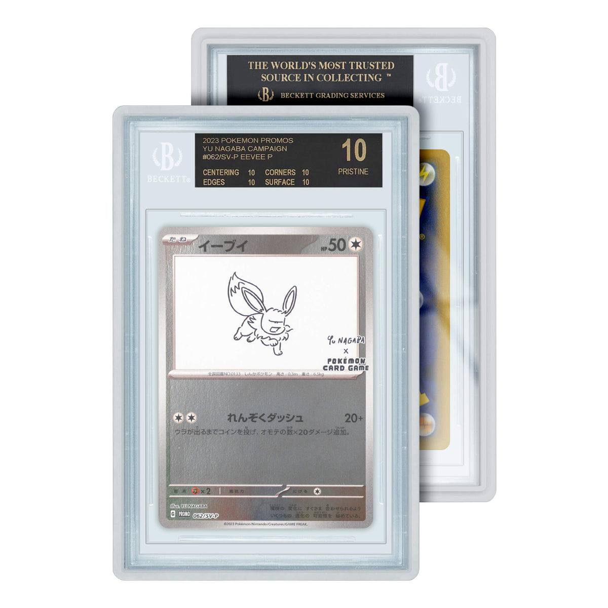 Standard Case BGS
