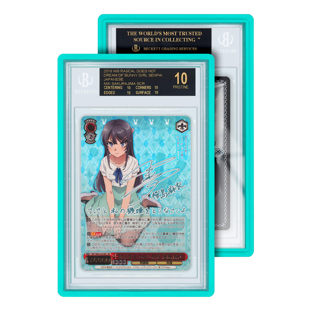 Standard Case BGS