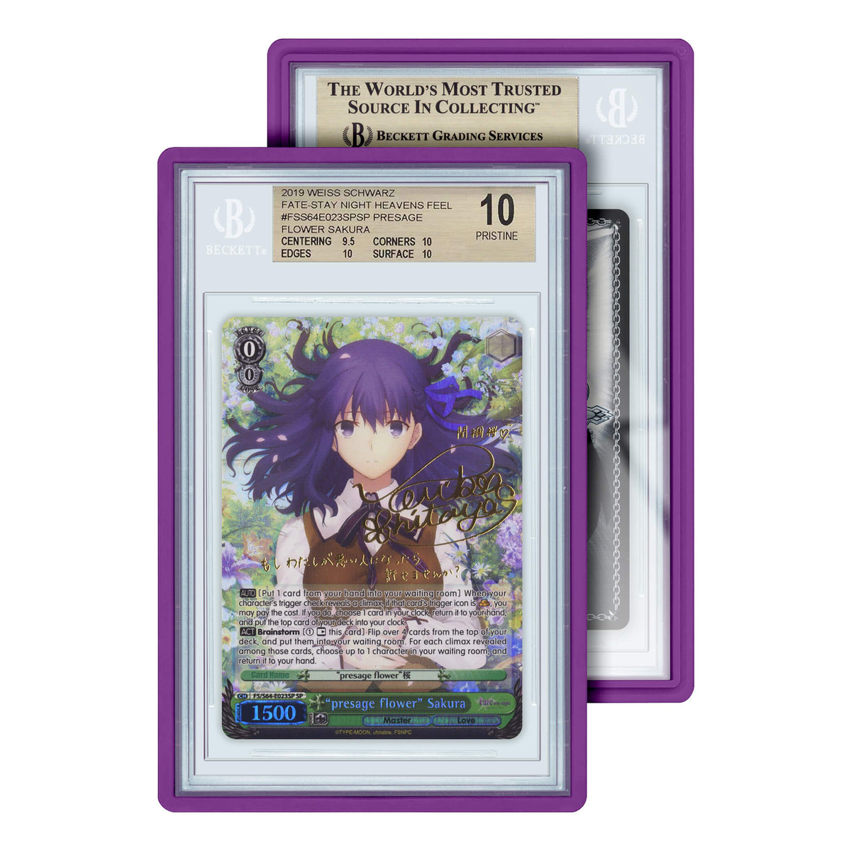 Standard Case BGS