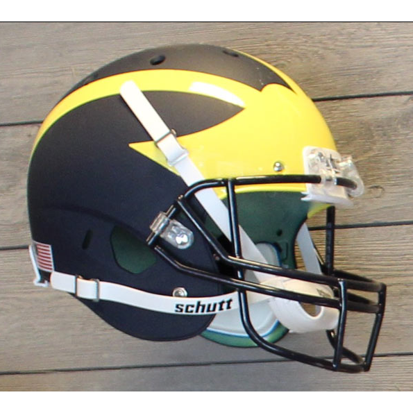 Invisi-Ball Helmet Wall Mount