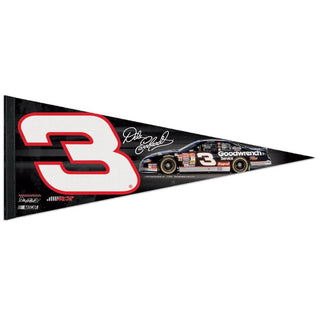 Pennant: Dale Earnhardt 12"x30"