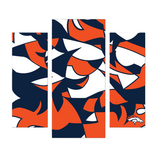 Wall Decor: Denver Broncos - Modern Wall Art 3pc