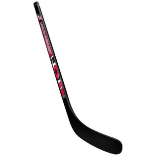 Carolina Hurricanes Mini Stick Black