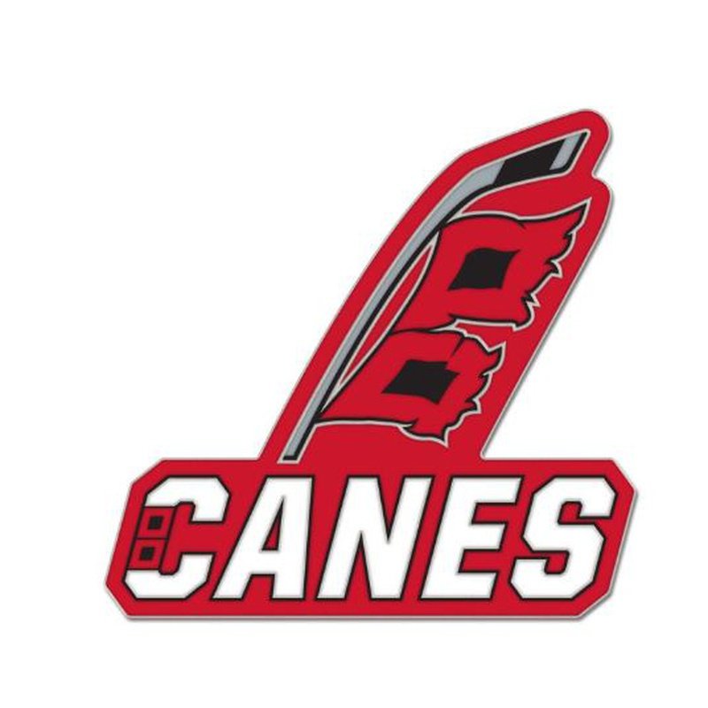 Enamel Lapel Pin: Carolina Hurricanes