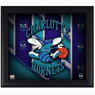 Framed Art: Charlotte Hornets Authentic Framed 15"x17" Threads