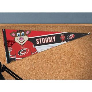 Pennant: Carolina Hurricanes - Stormy