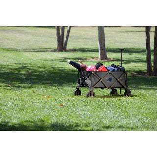 Carolina Panthers - Adventure Wagon Portable Utility Wagon