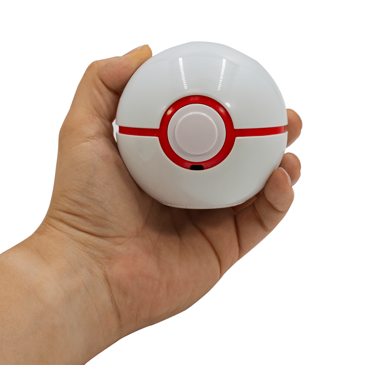 Pokémon Trainer Guess Sinnoh Edition