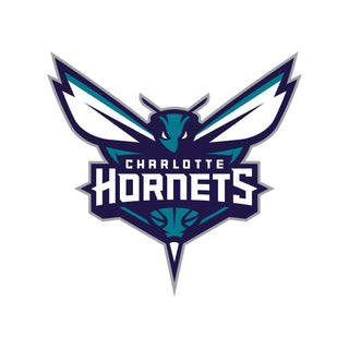 Charlotte Hornets - 5 Logo Minis Mixed Sizes - Official NBA - Reusable Vinyl Decals