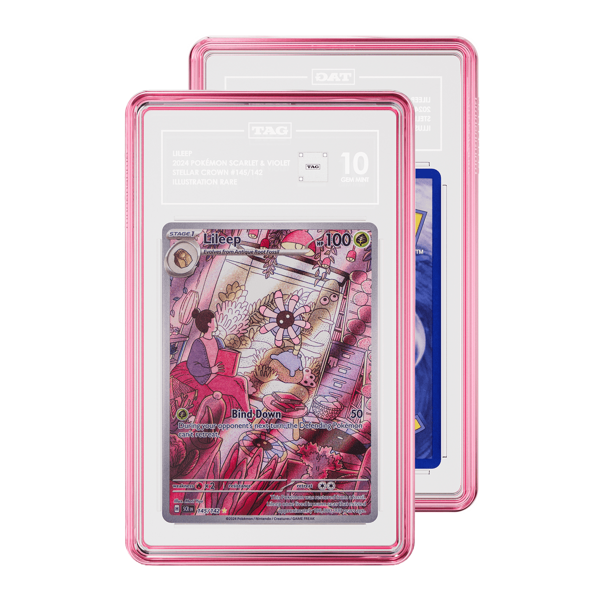 Jewel Case (TAG)