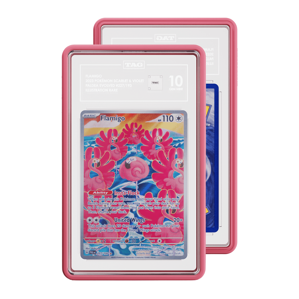 Standard Case (TAG)