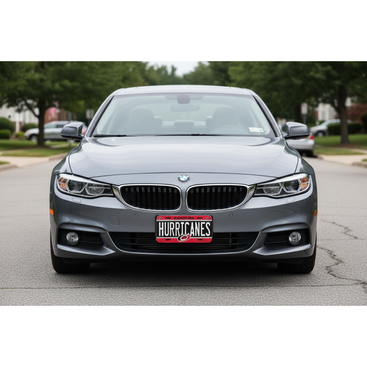 Carolina Hurricanes Specialty License Plate