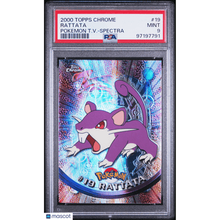 Pokémon TCG Rattata #19 Pokémon T.V.Spectra PSA 9