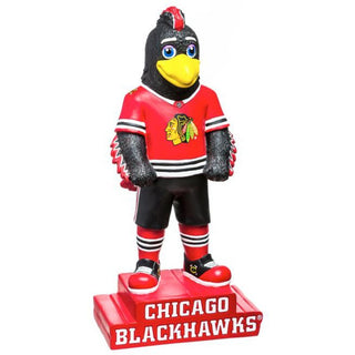 Mascot: Chicago Blackhawks