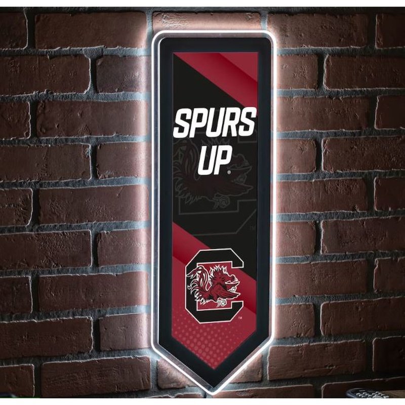 LED Wall Decor: South Carolina Gamecocks - Pennant