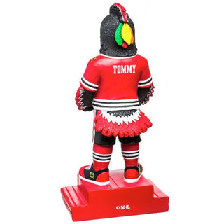 Mascot: Chicago Blackhawks