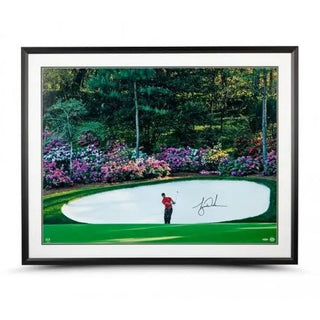 Autograph: Tiger Woods "Azalea" Framed 40x30 print