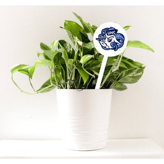 NCAA North Carolina STEEL Garden Stake- Mascot